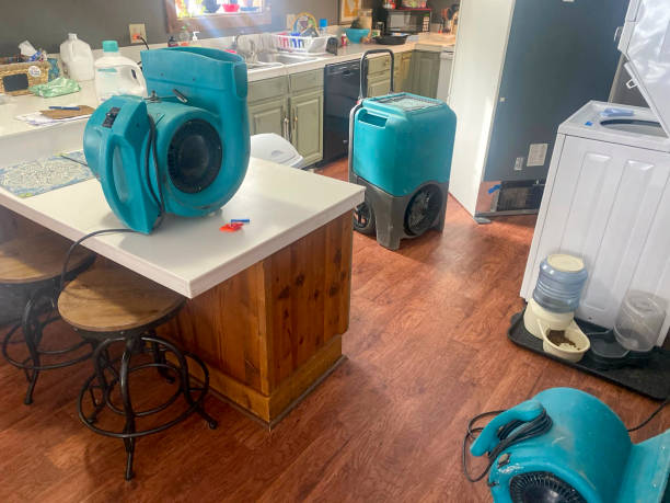 Best Carpet water damage restoration  in Tariffville, CT