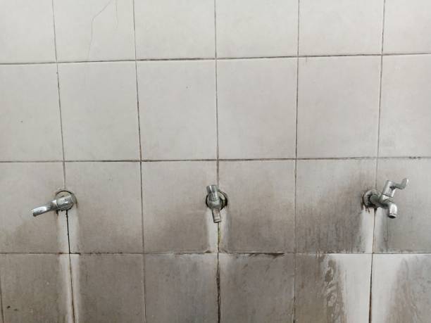 Best Basement water damage restoration  in Tariffville, CT