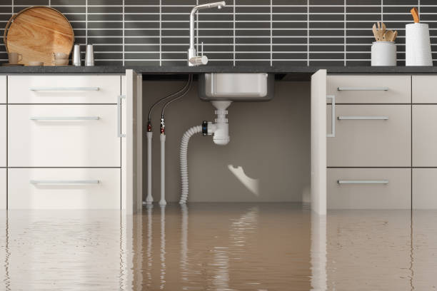 Best Water damage contractors near me  in Tariffville, CT