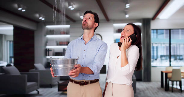 Best Water damage restoration near me  in Tariffville, CT